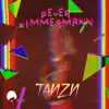 Peter Zimmermann - Tanzn (feat. Gordon Golletz) - Single